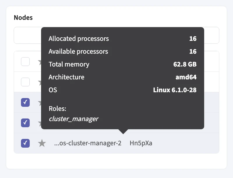 Node details for a dedicated master node