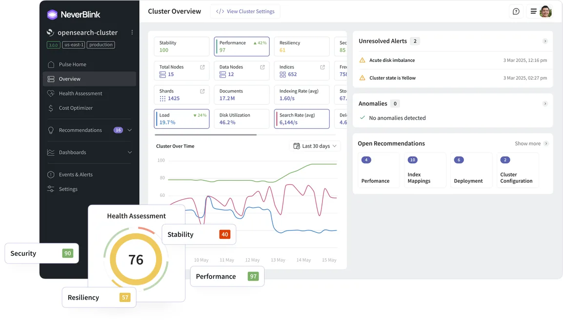 NeverBlink cluster overview