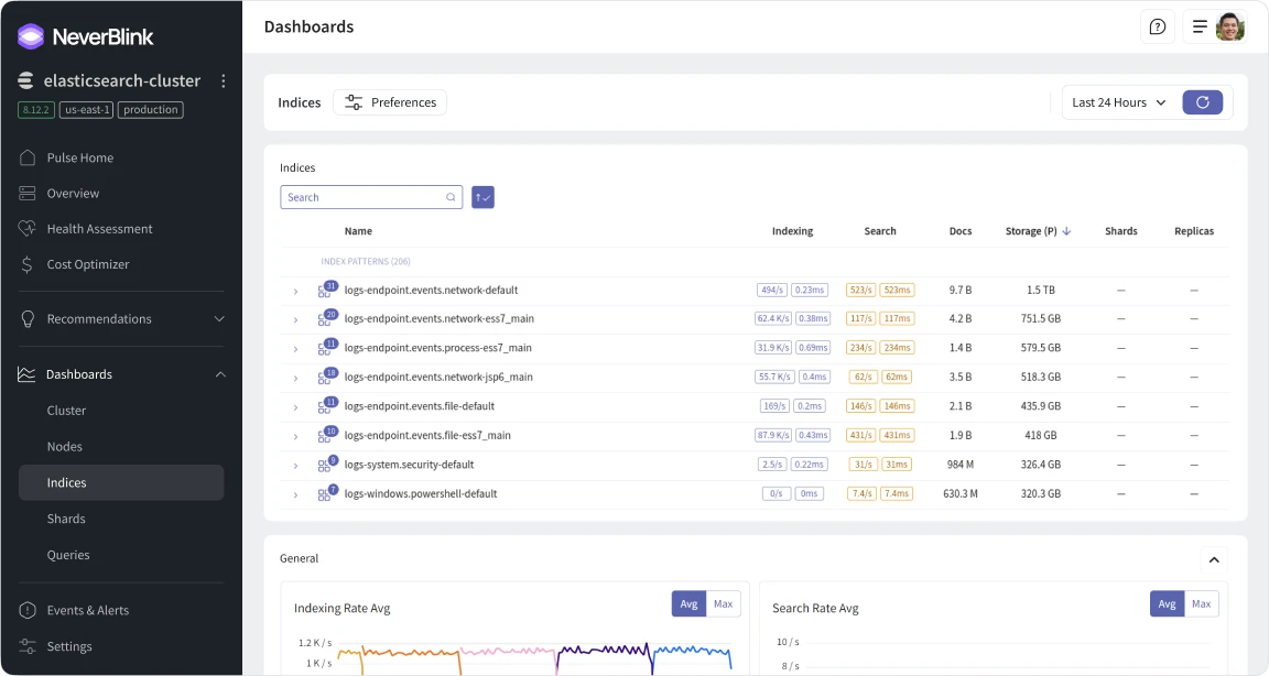 Inside NeverBlink indices page