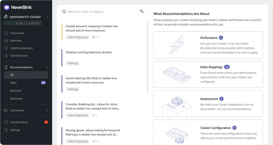Inside NeverBlink recommendations page