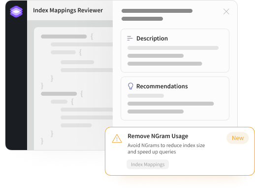 Index Mappings Reviewer